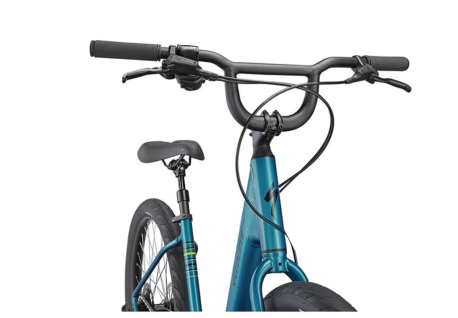2020 Specialized Roll Sport