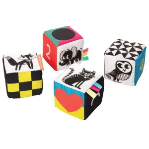 High Contrast Mind Cubes | Wimmer Ferguson