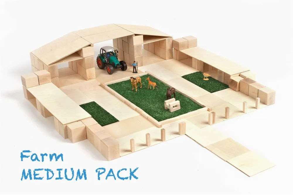 Just Blocks Medium Blocks Set