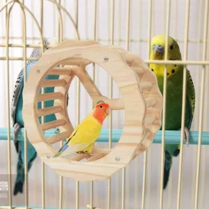 Wooden Exercise Wheel